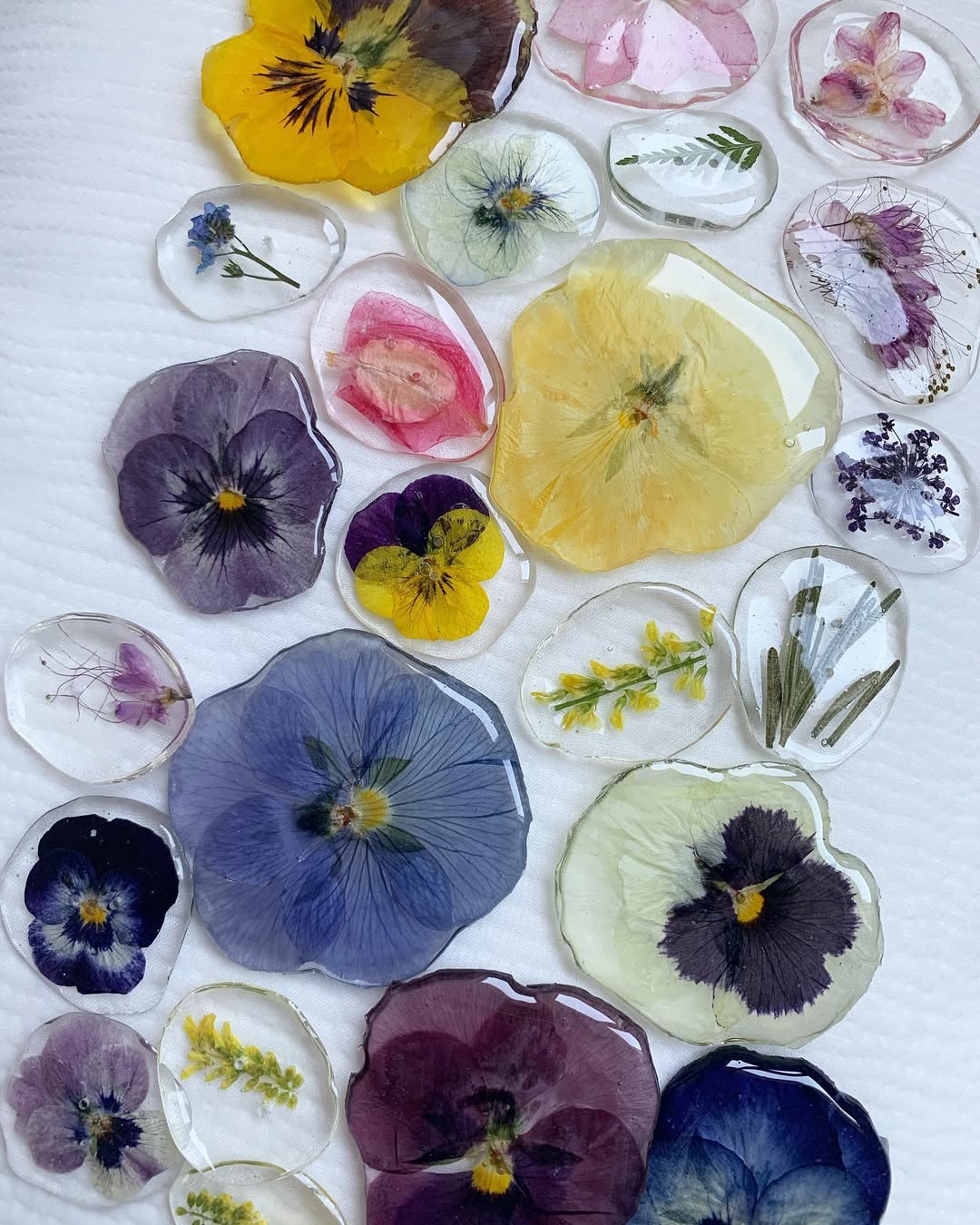 Thumbnail of p-cekoowhgcxb-9e1c1fae9e124d53 0