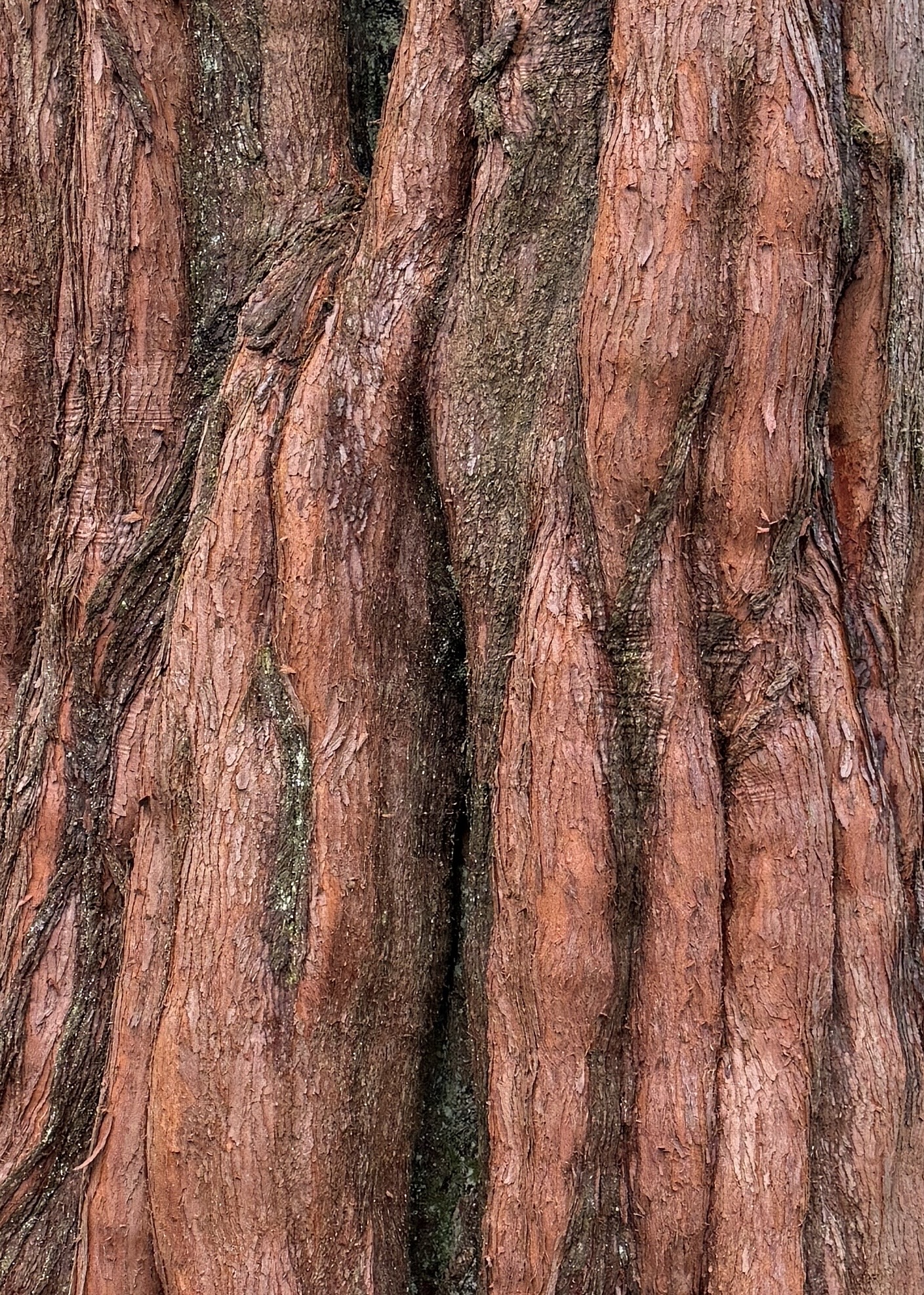 Thumbnail of charlotte-landagentlife-23a128aabad94319 1