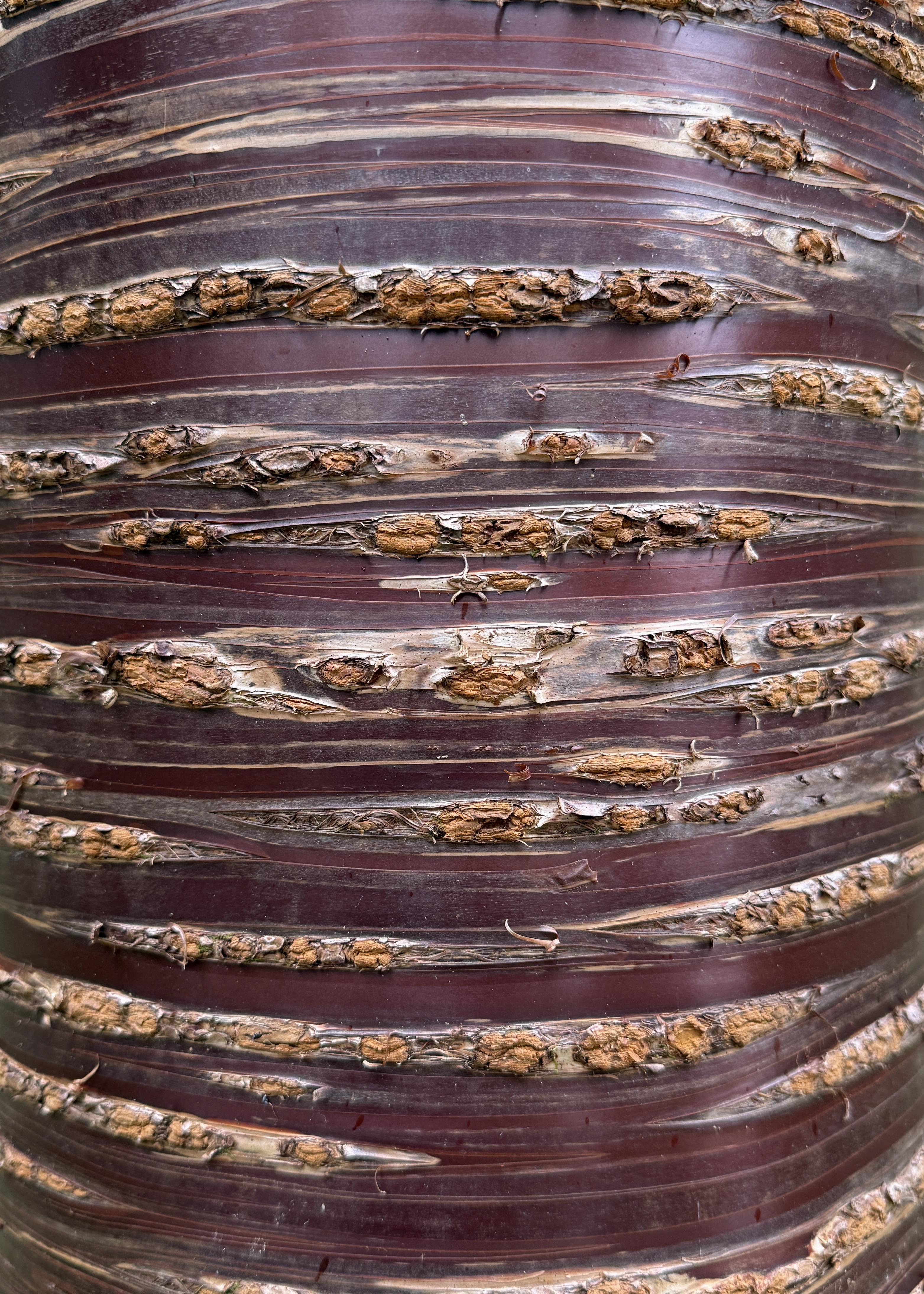 Thumbnail of charlotte-landagentlife-23a128aabad94319 4