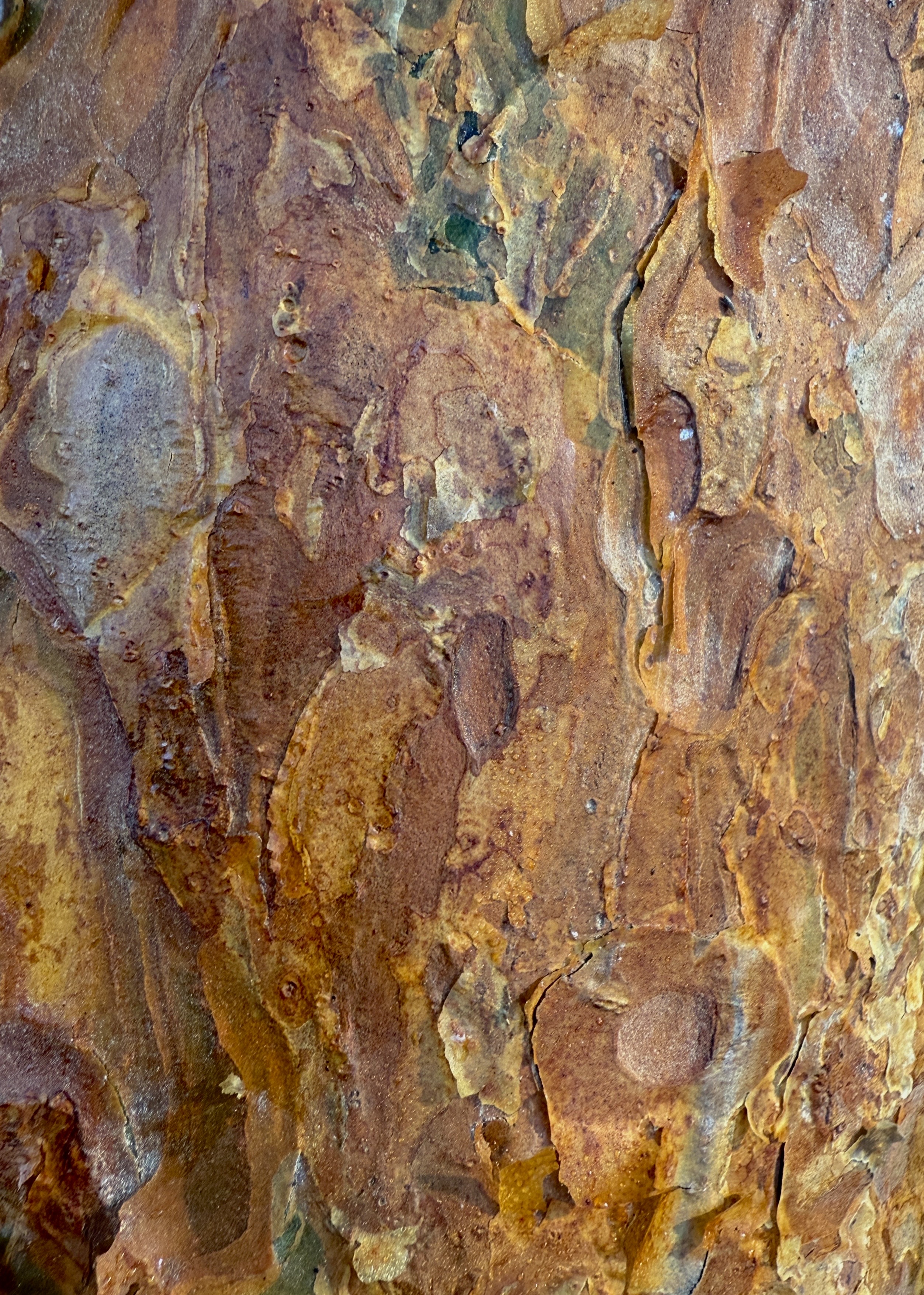 Thumbnail of charlotte-landagentlife-23a128aabad94319 5