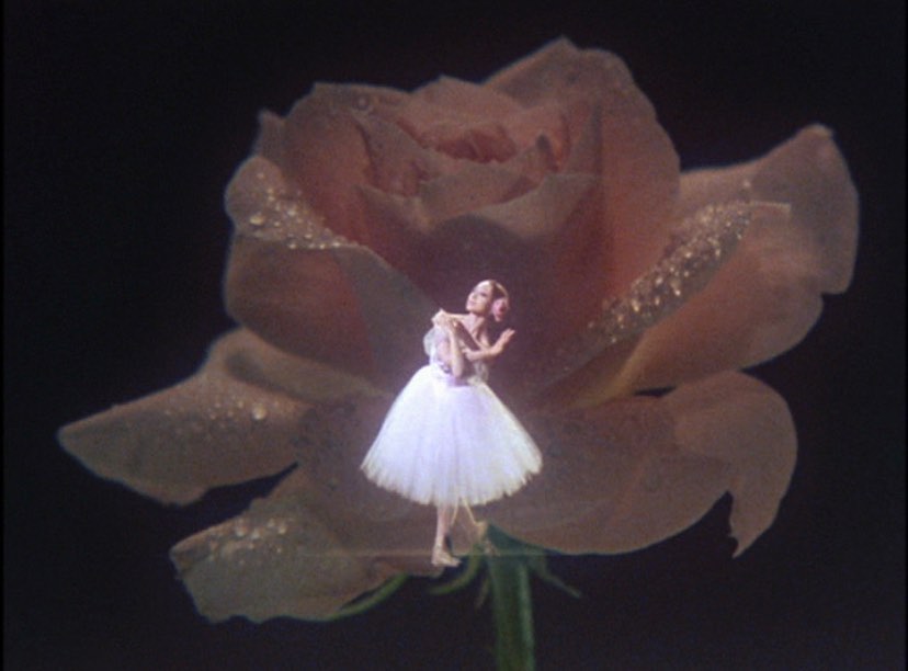 Thumbnail of p-cjll2fylycm-70eea7cc38384bc0 0