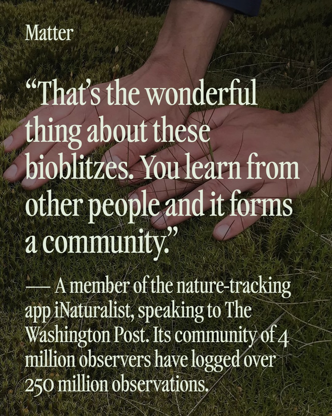 Thumbnail of p-drmbinbdmwq-25536381ca28474c 4