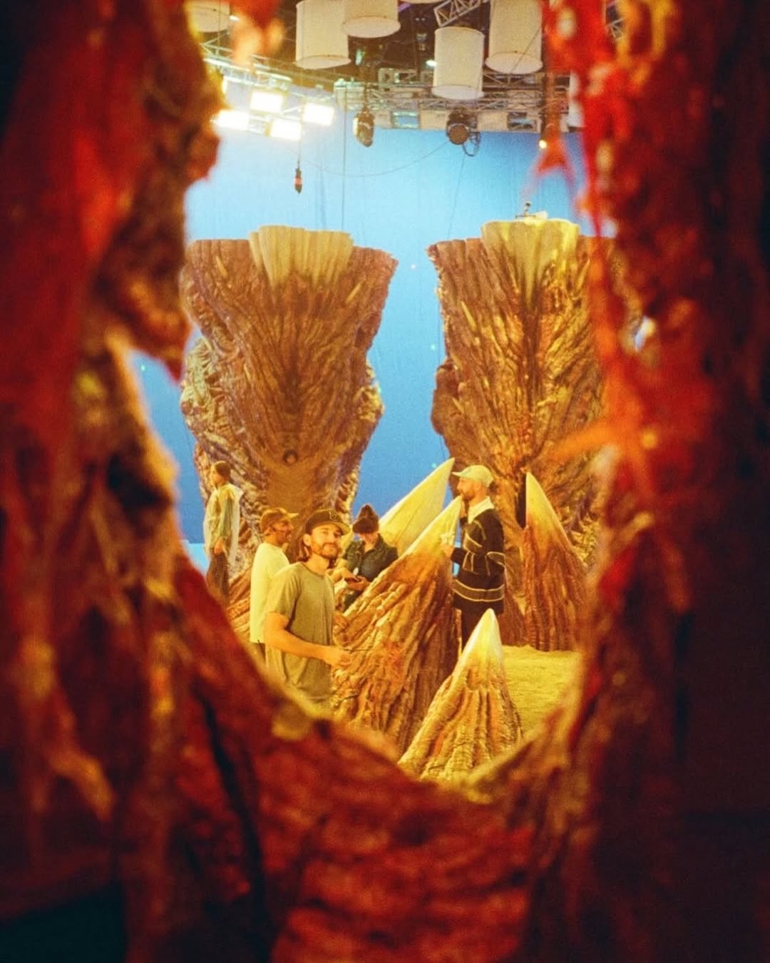 Thumbnail of p-dwaj5c2dezw-25a32e2bbc49445f 2