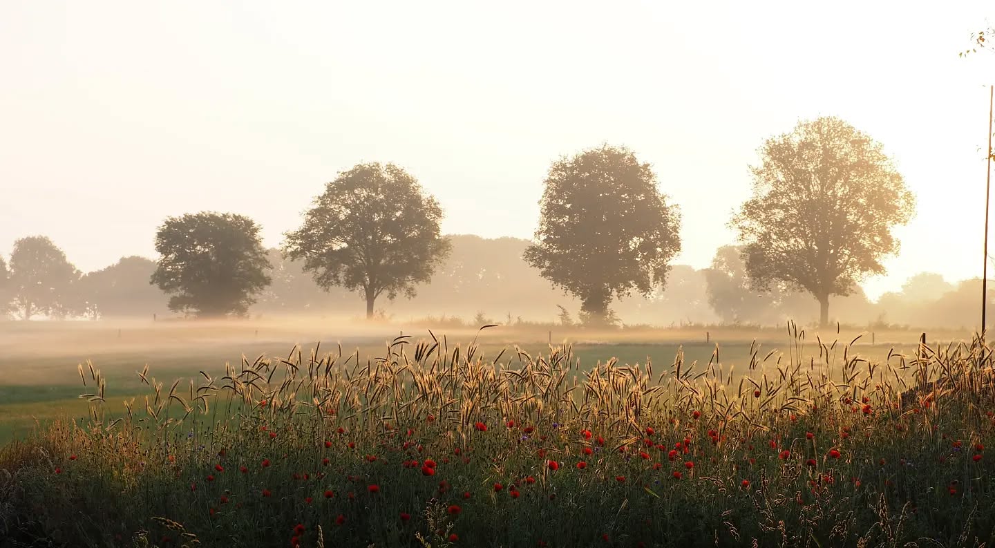 Thumbnail of p-cts7u7gnx9m-26186de5a07748da 0