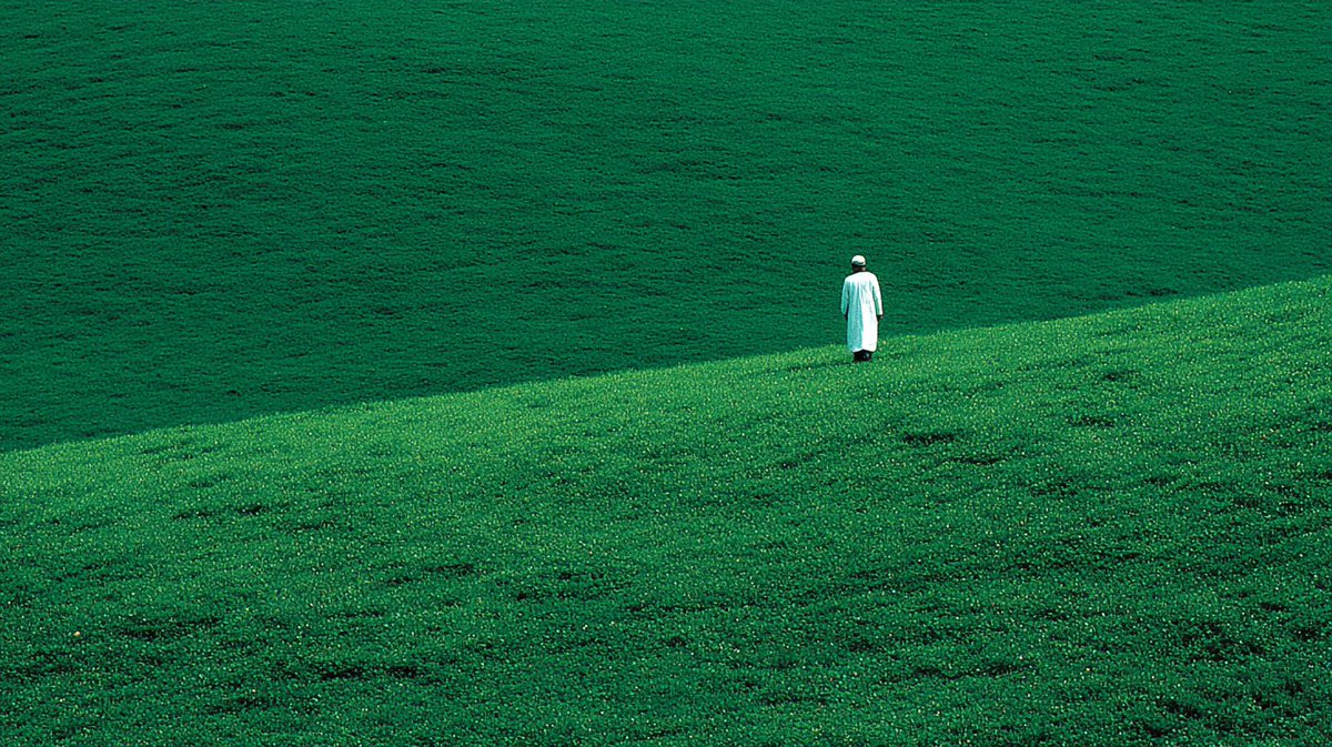 Thumbnail of www-x-com-sergeantsref-status-1978480986443903095-2701440f0c5c4a42