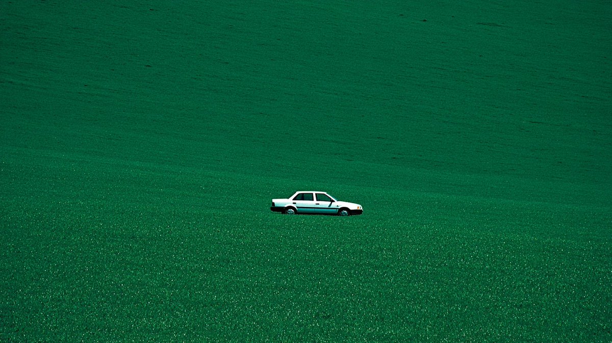 Thumbnail of www-x-com-sergeantsref-status-1978480986443903095-2701440f0c5c4a42