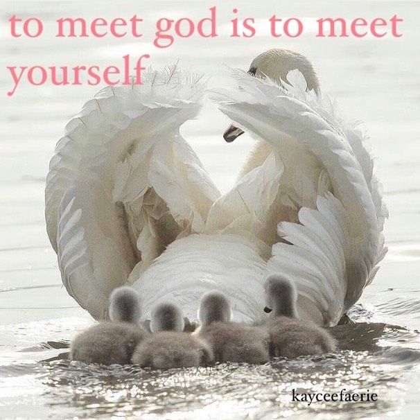 Thumbnail of 8-a6mbzx-cdfe00124b194ebc 1