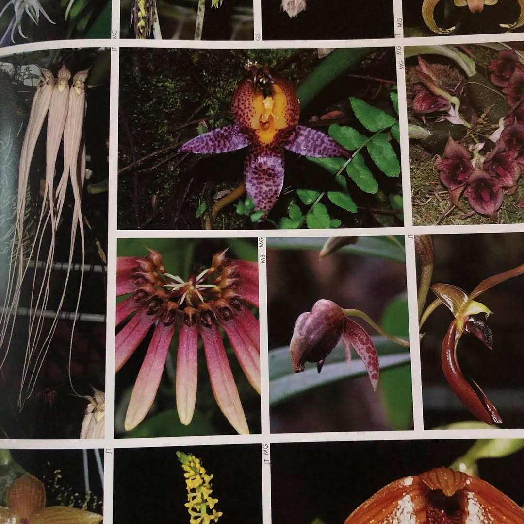 Thumbnail of www-instagram-com-p-cypu0aslogv 7