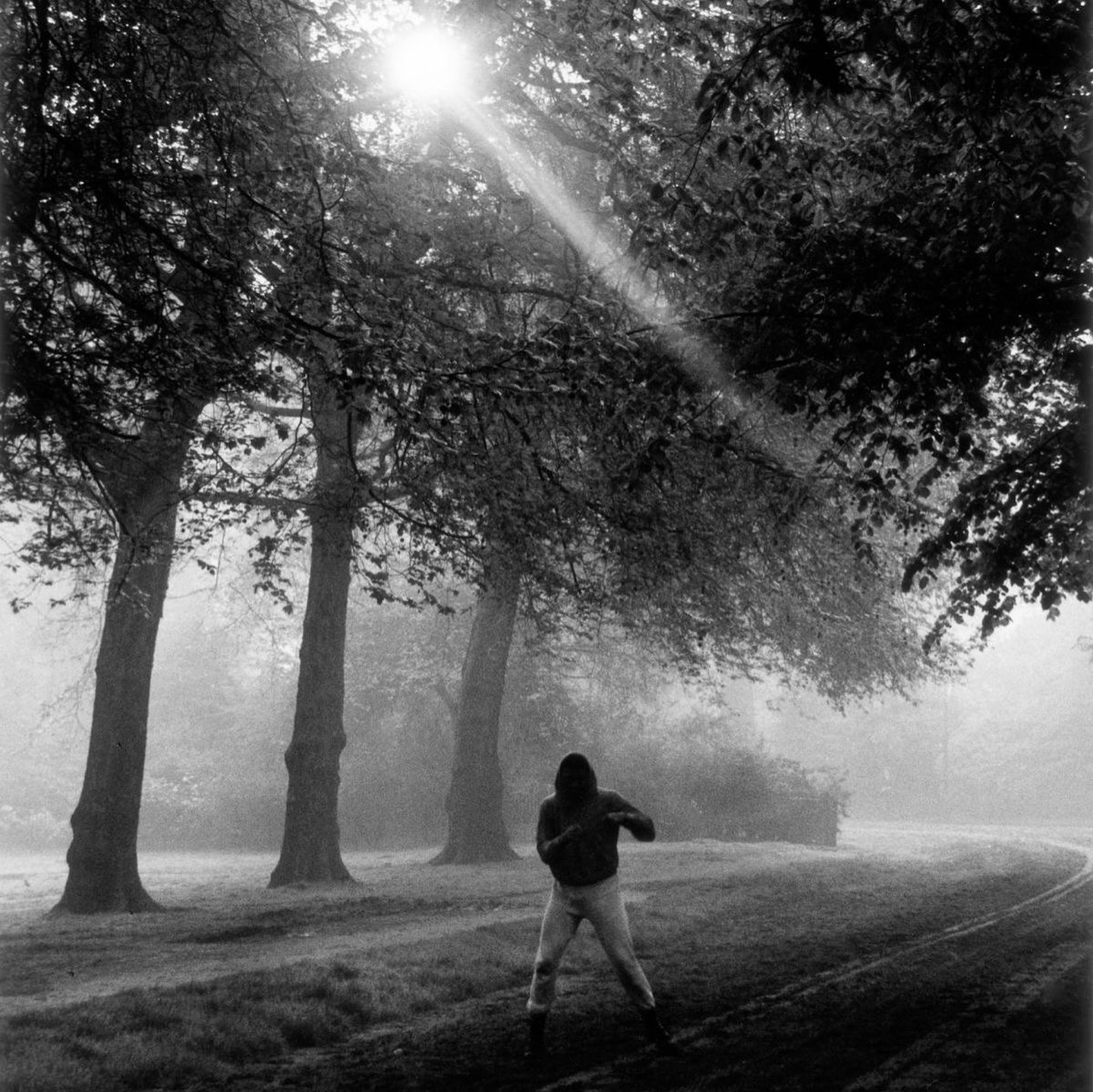 Thumbnail of p-dazhja5itlj-27f76d2b2af44439 3