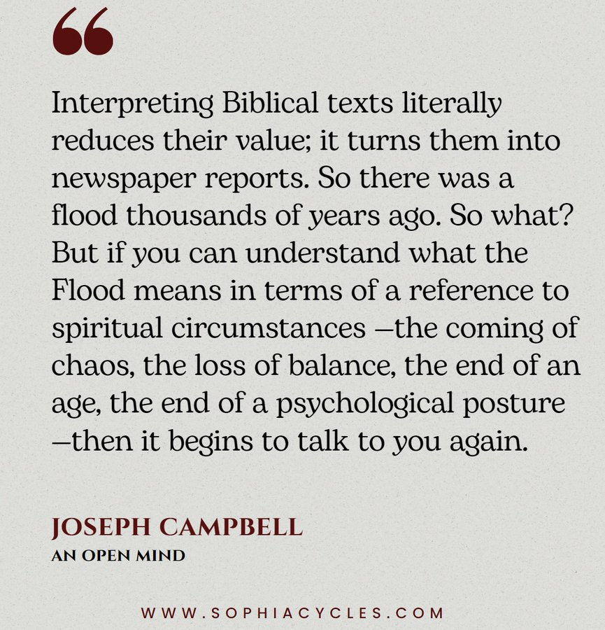 Thumbnail of www-x-com-sophiacycles-status-2004681880877019431