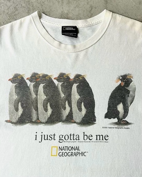 Thumbnail of p-dfdcsznsxig-2c135073a4234f70 2