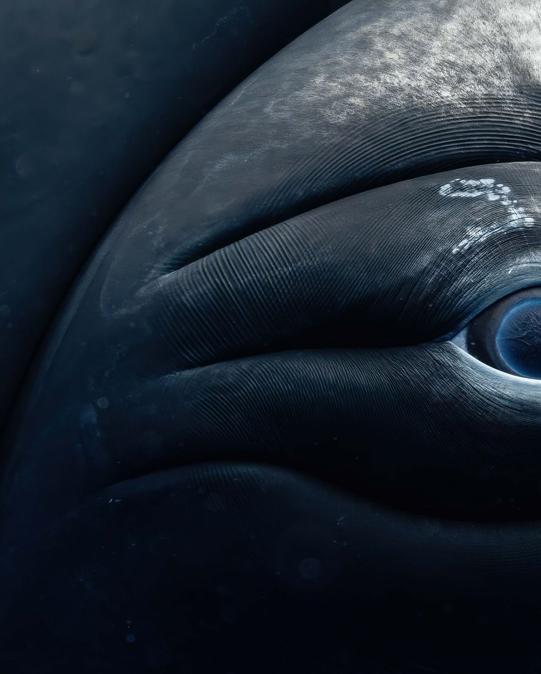 Thumbnail of p-dckorfjik6p-2df6c330fd7342bf 1