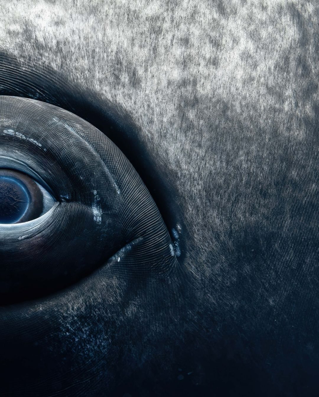 Thumbnail of p-dckorfjik6p-2df6c330fd7342bf 2