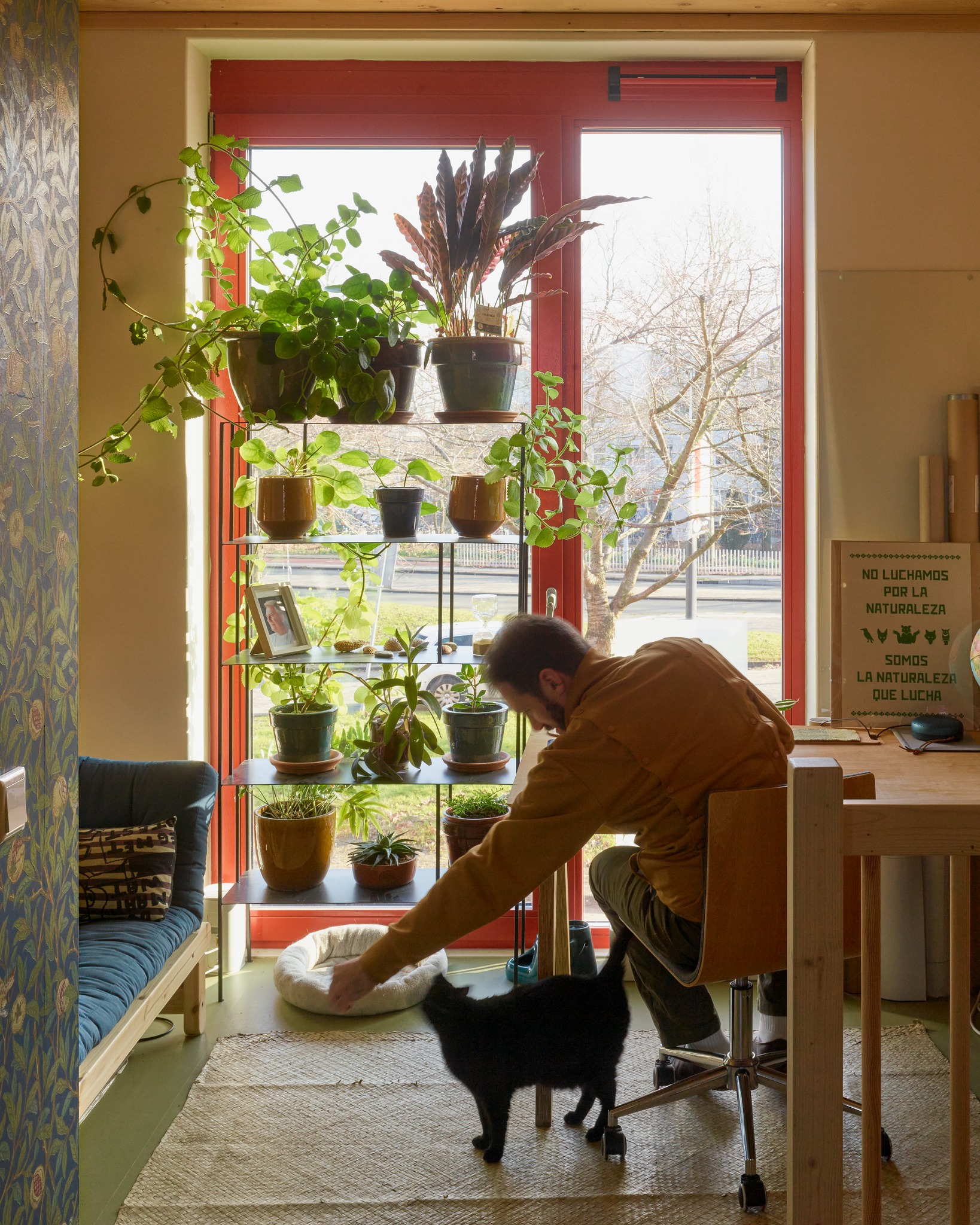 Thumbnail of p-dwoblhodv3o-2e86cb85ab6147aa 3