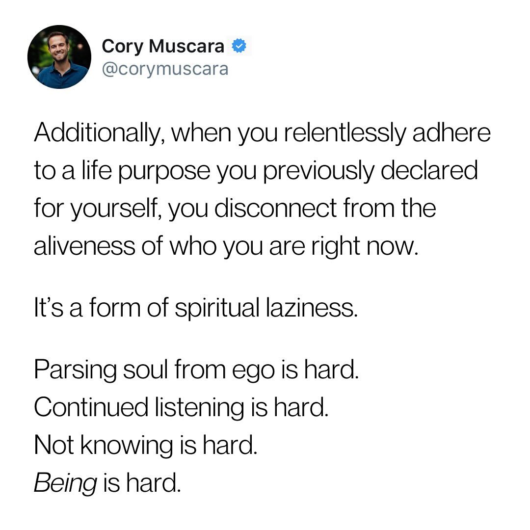 Thumbnail of p-dez3v4qpcd5-2ee24899c2f24782 2