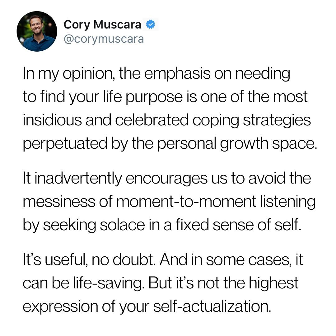 Thumbnail of p-dez3v4qpcd5-2ee24899c2f24782 3