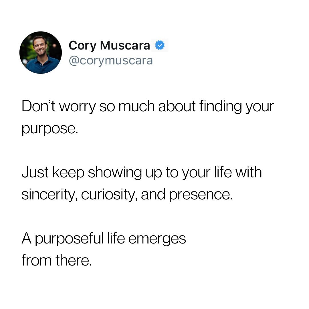 Thumbnail of p-dez3v4qpcd5-2ee24899c2f24782 6