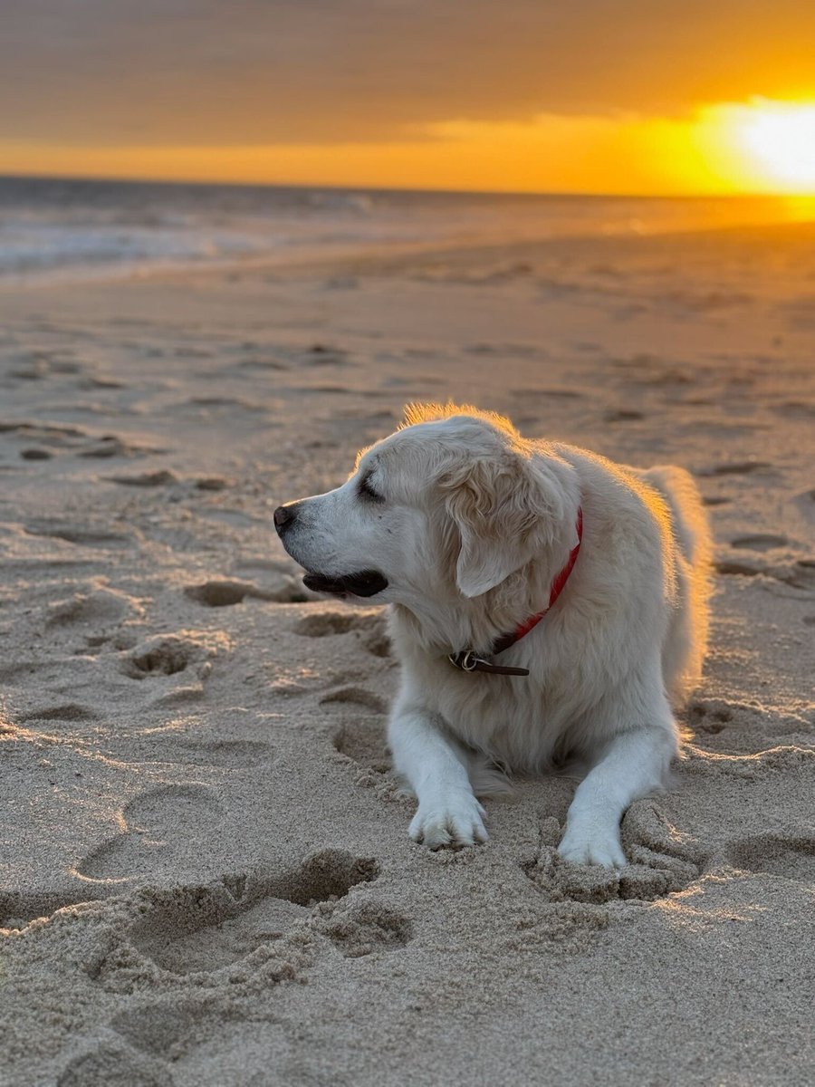 Thumbnail of www-x-com-jimmyfallon-status-1980314268278091961