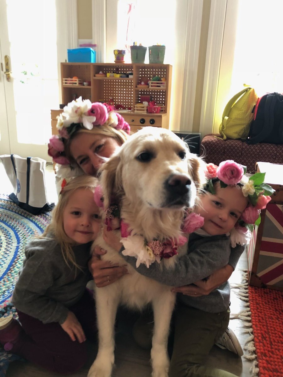 Thumbnail of www-x-com-jimmyfallon-status-1980314268278091961