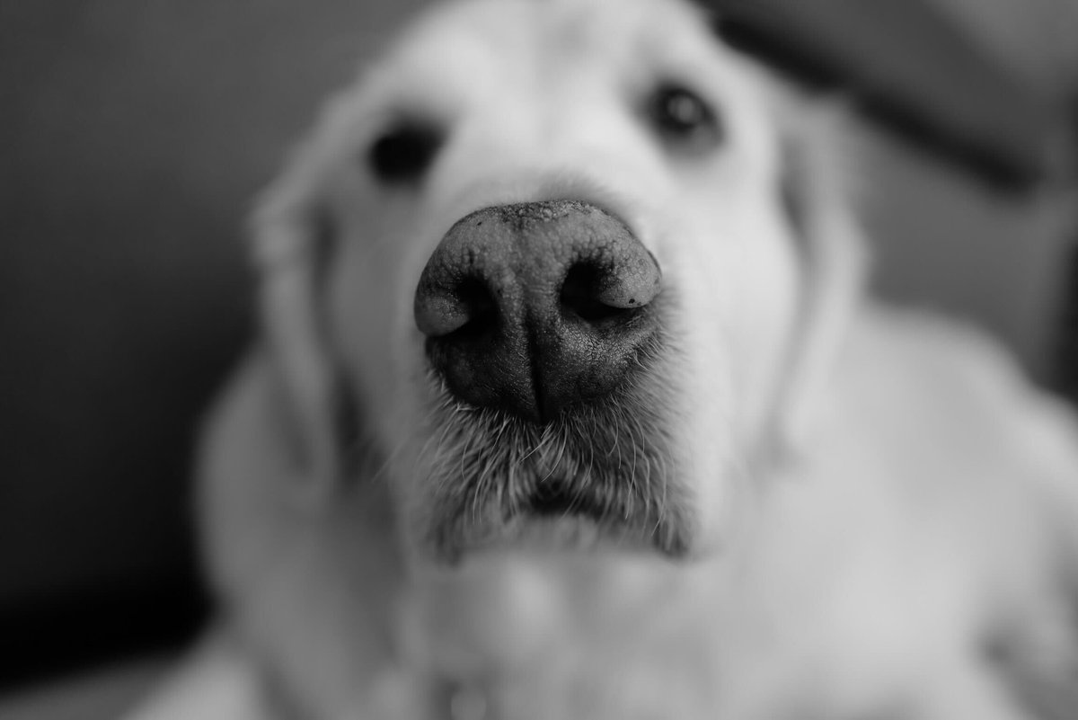 Thumbnail of www-x-com-jimmyfallon-status-1980314268278091961