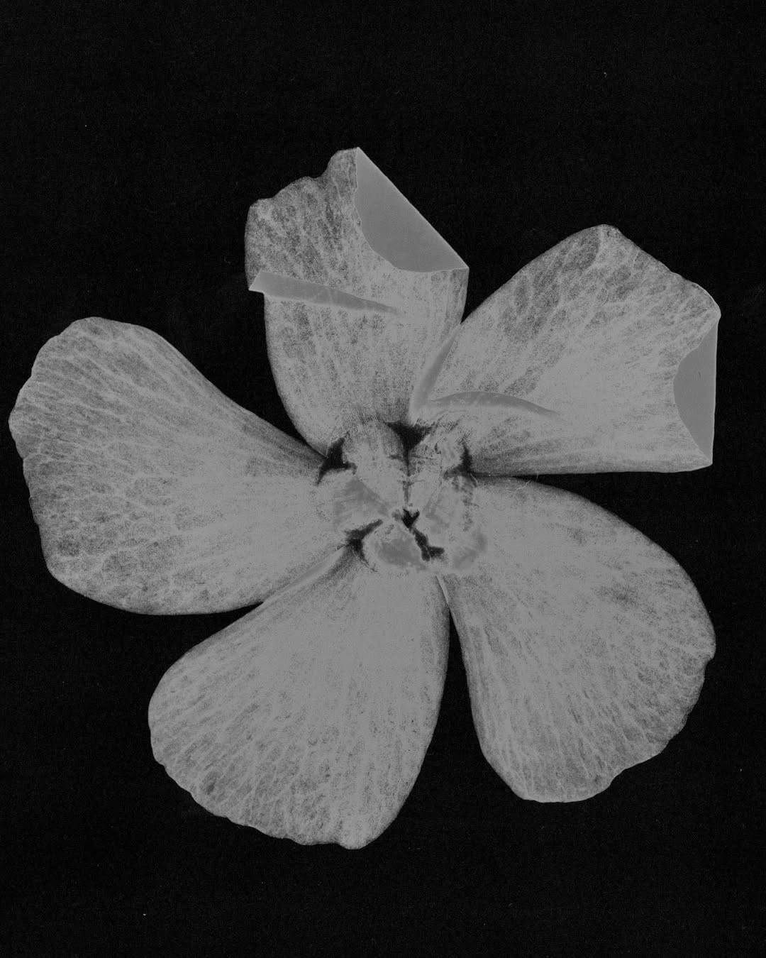 Thumbnail of www-instagram-com-p-csauqwbipks 0