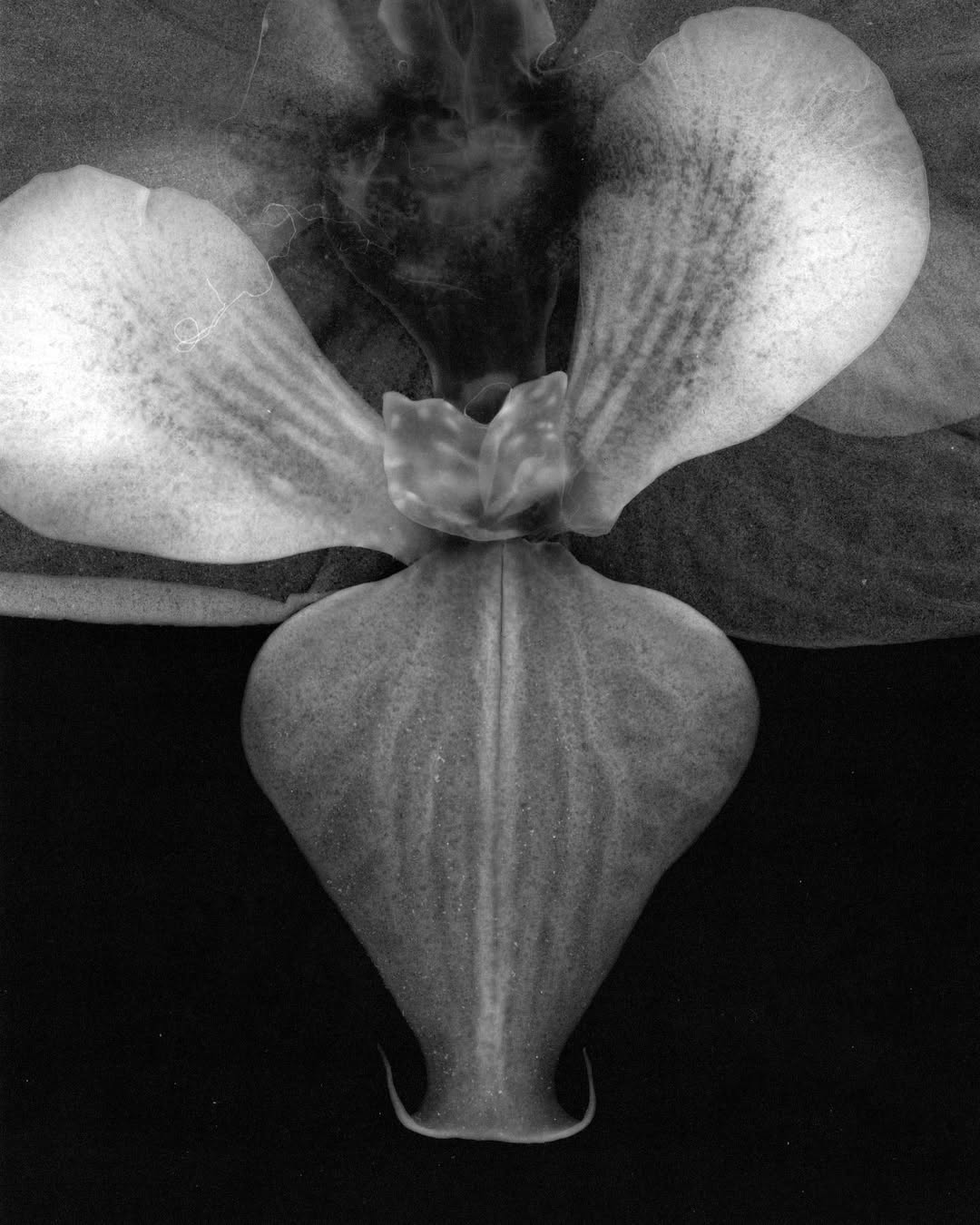 Thumbnail of www-instagram-com-p-csauqwbipks 1