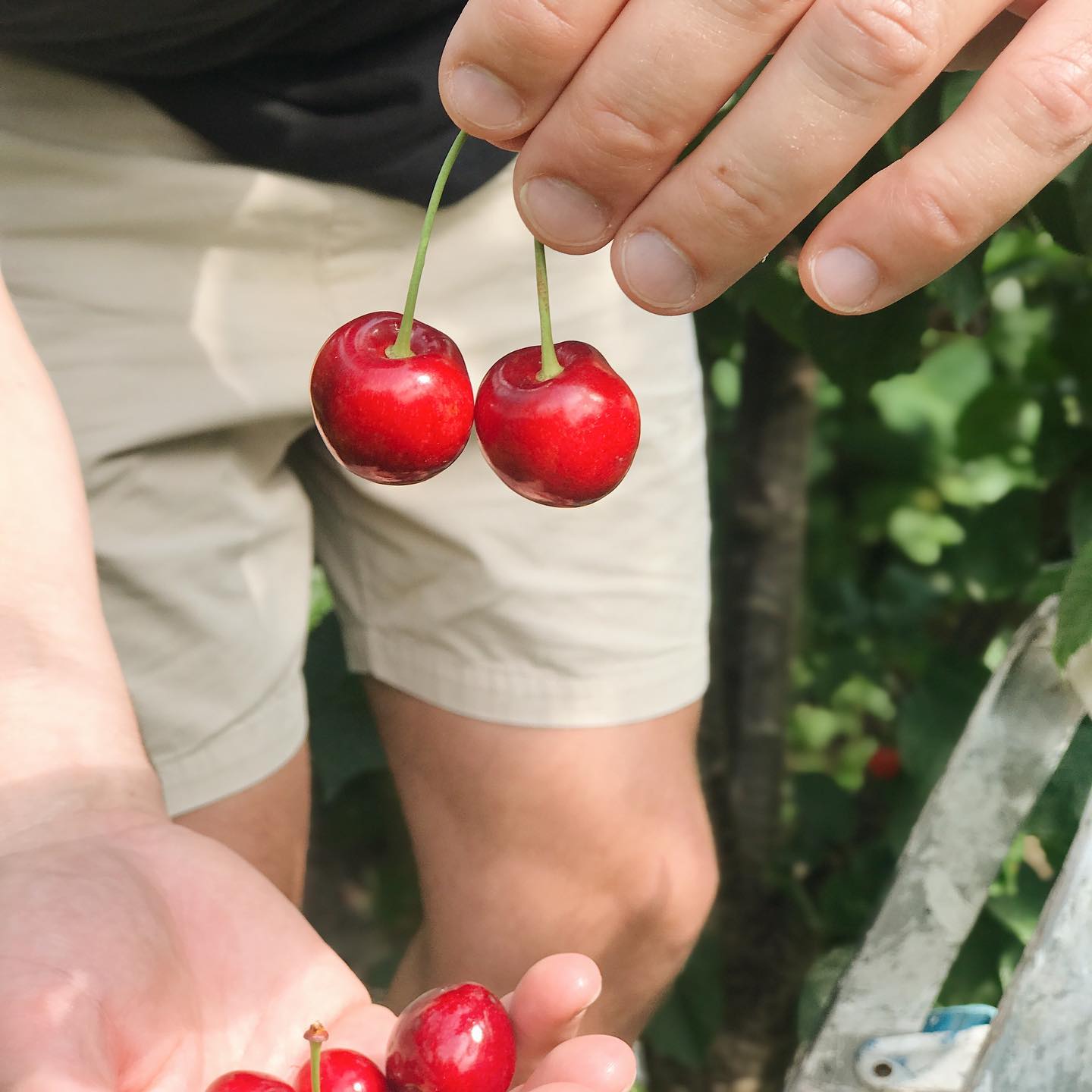 Thumbnail of p-bz3lb8olk3s-3326a401c59e44e4 1