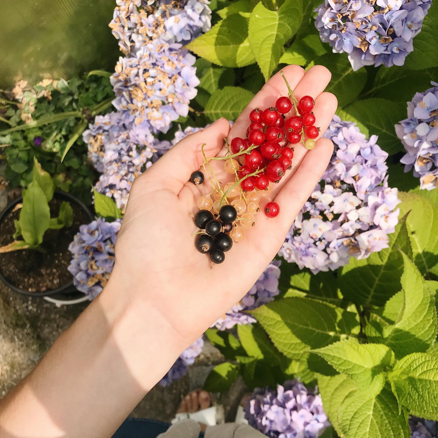 Thumbnail of p-bz3lb8olk3s-3326a401c59e44e4 4