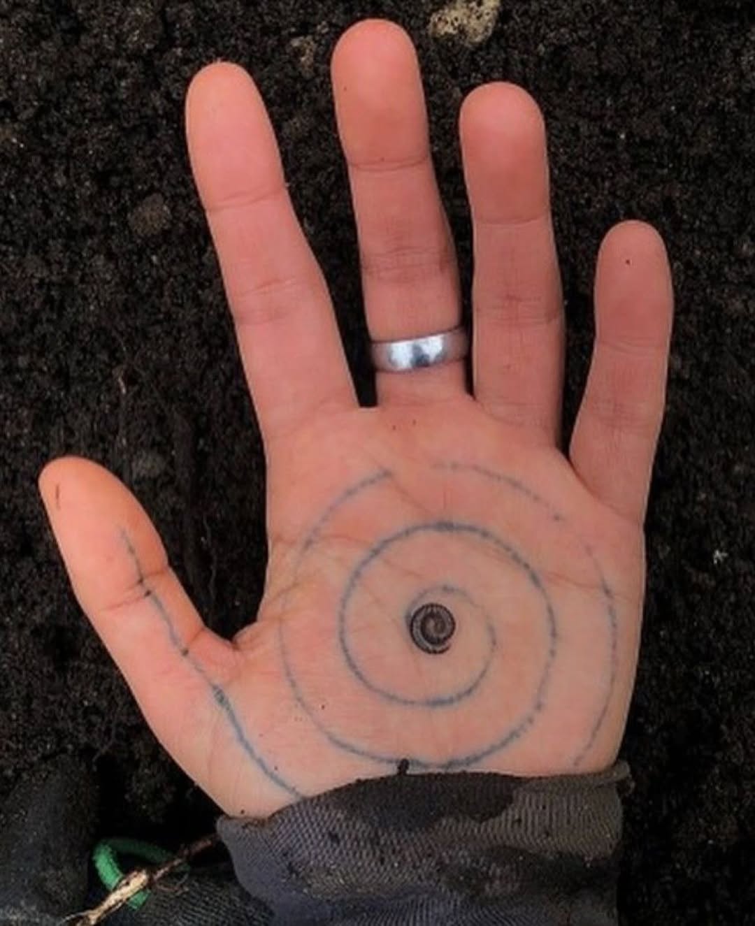 Thumbnail of p-c8yh5n1q8v1-c02076917c9b40d5 2