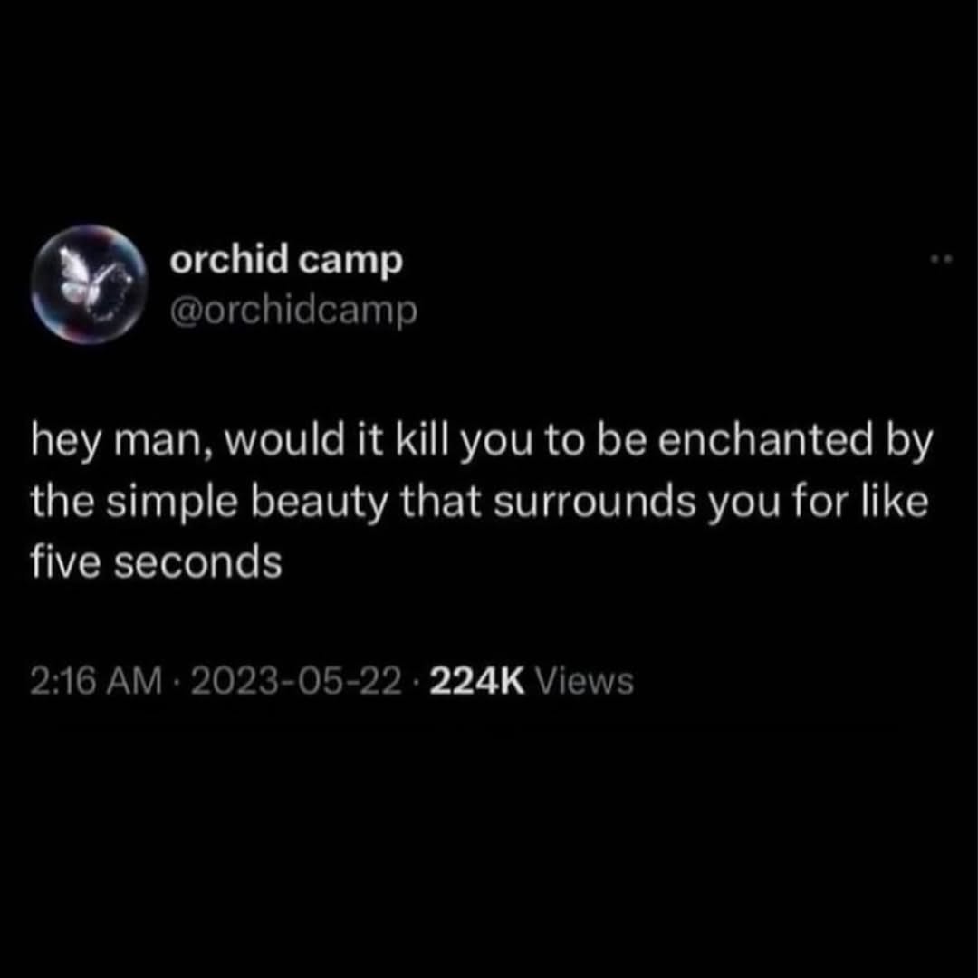 Thumbnail of c-4jaykrjn3-625a56f04dbe4351 8