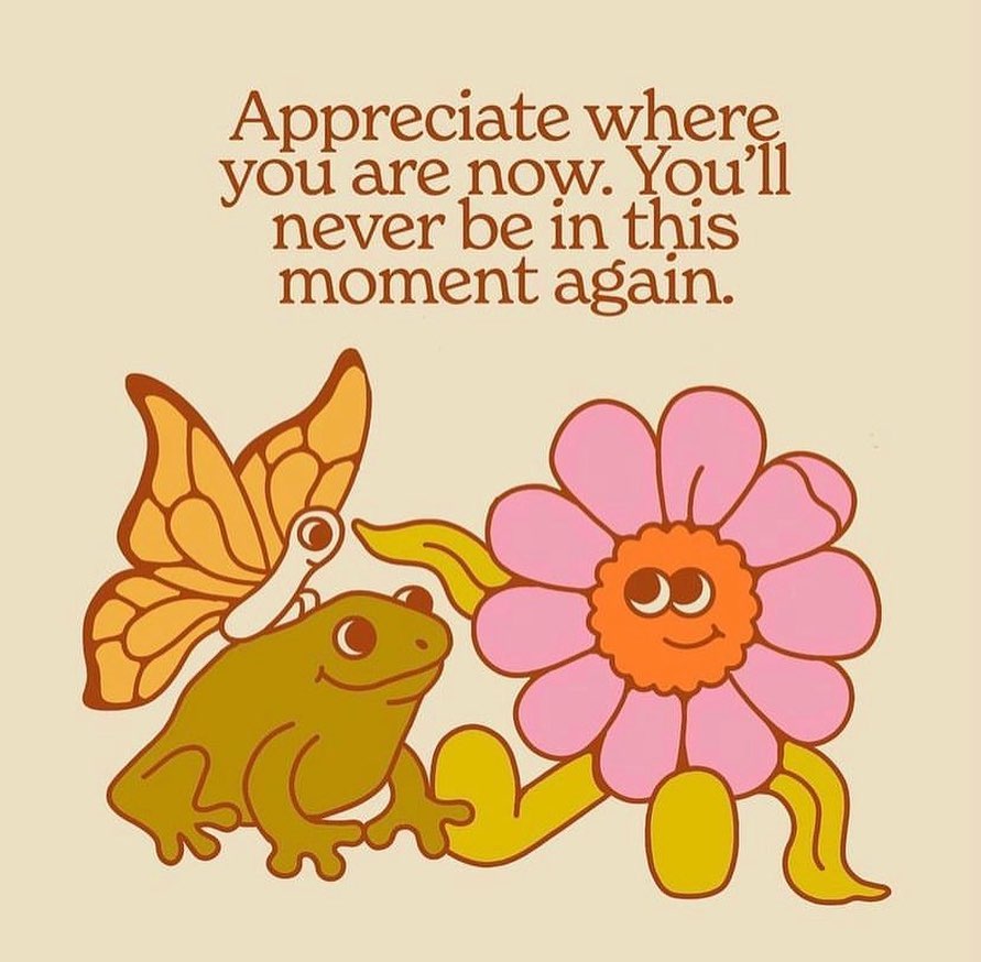 Thumbnail of c-ocfnupm94-0eb714ec02ba48ab 4