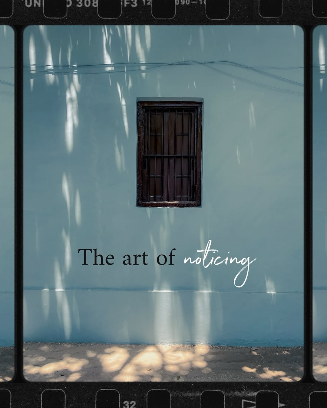 Thumbnail of www-instagram-com-p-c-2n5ohps43 0