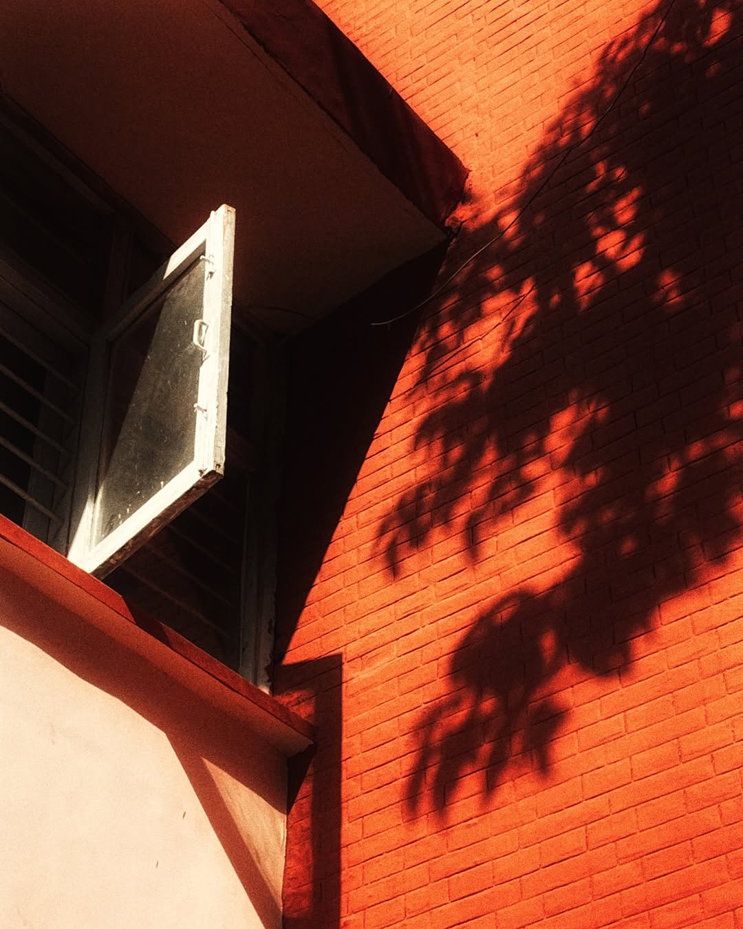 Thumbnail of www-instagram-com-p-c-2n5ohps43 2