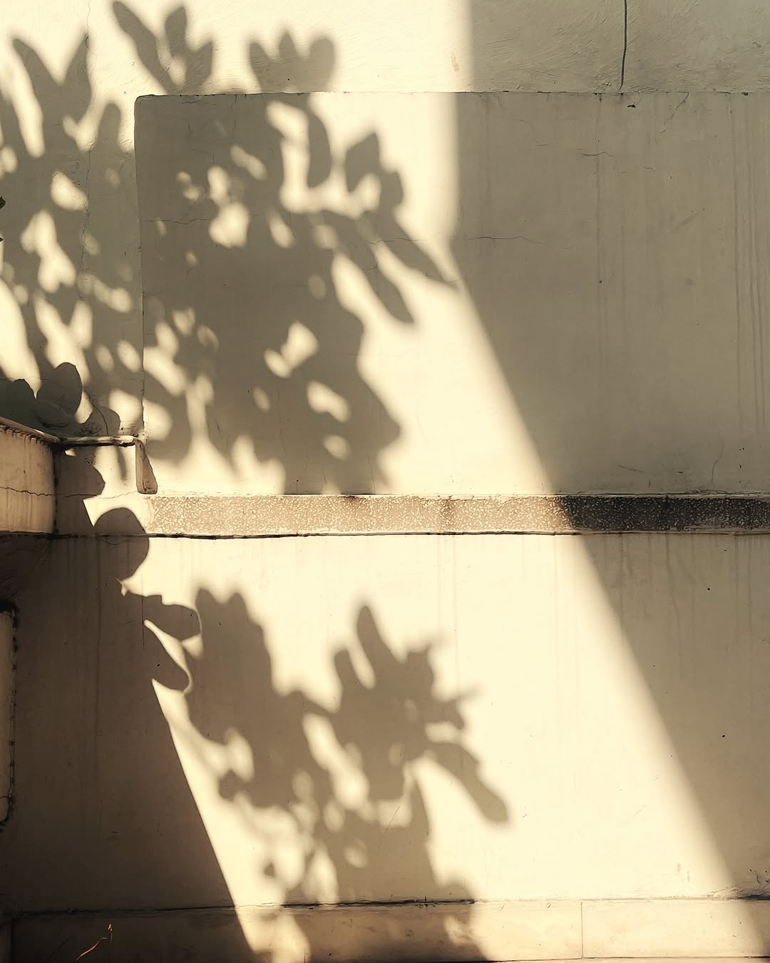 Thumbnail of www-instagram-com-p-c-2n5ohps43 5