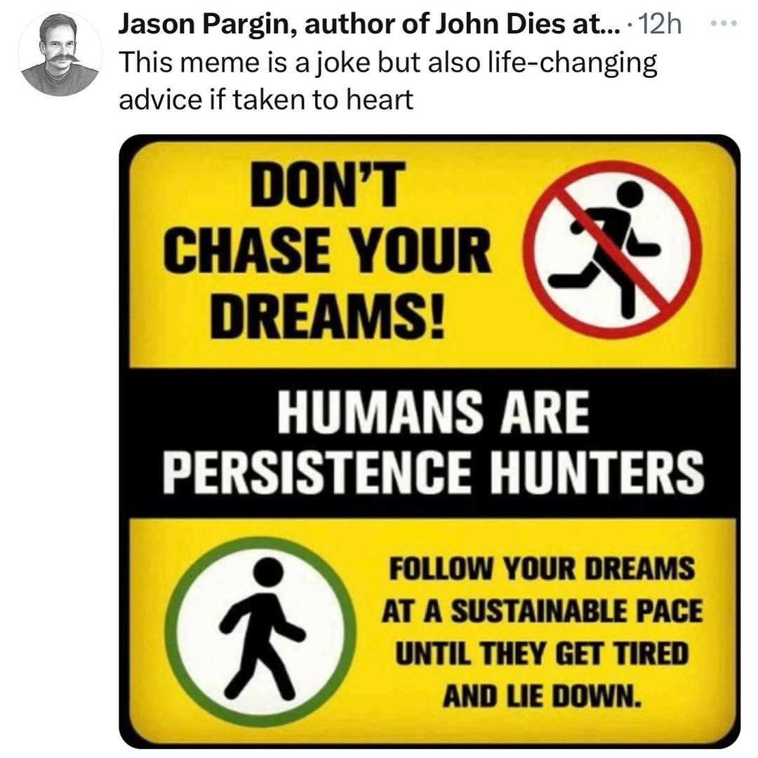 Thumbnail of www-instagram-com-p-dbtflgfrmge 0