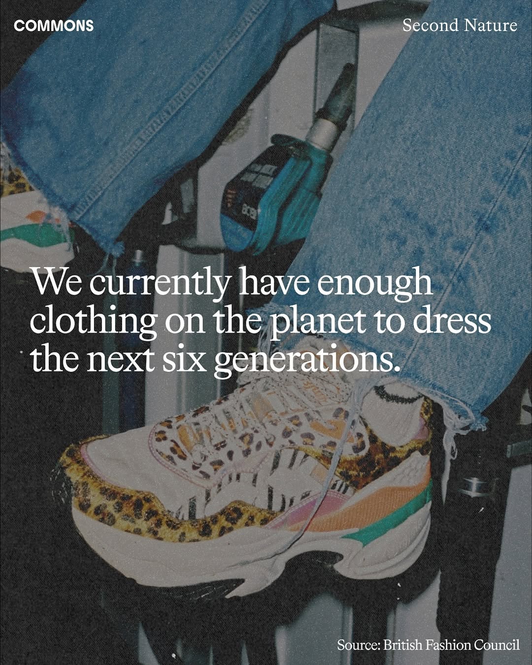 Thumbnail of p-ddnci55nns5-d7add6fbab9d4a47 2