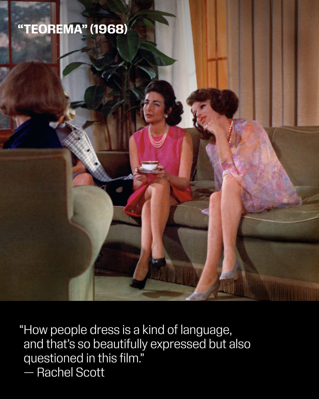 Thumbnail of www-instagram-com-p-dfs7rwwun8c 4