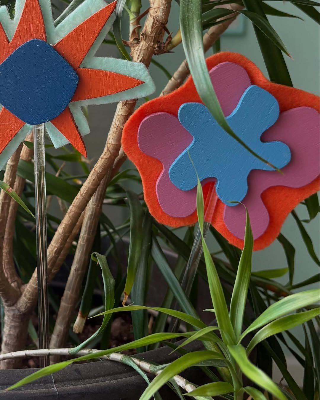 Thumbnail of www-instagram-com-p-df2e89ex0jh 1