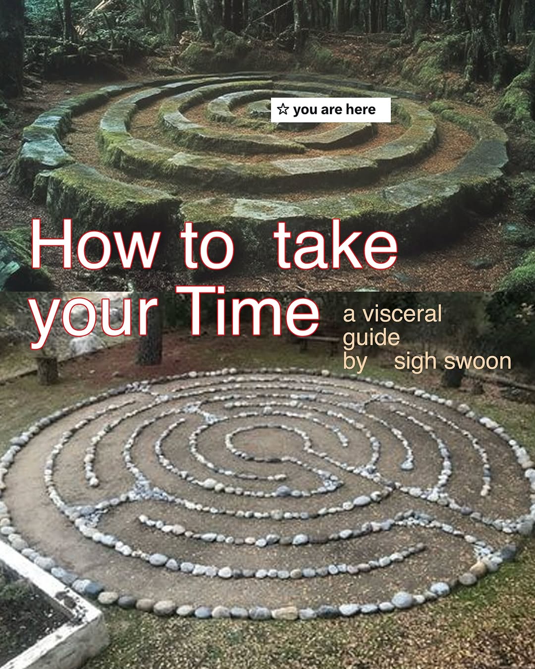 Thumbnail of www-instagram-com-p-dgywicuywsc 0