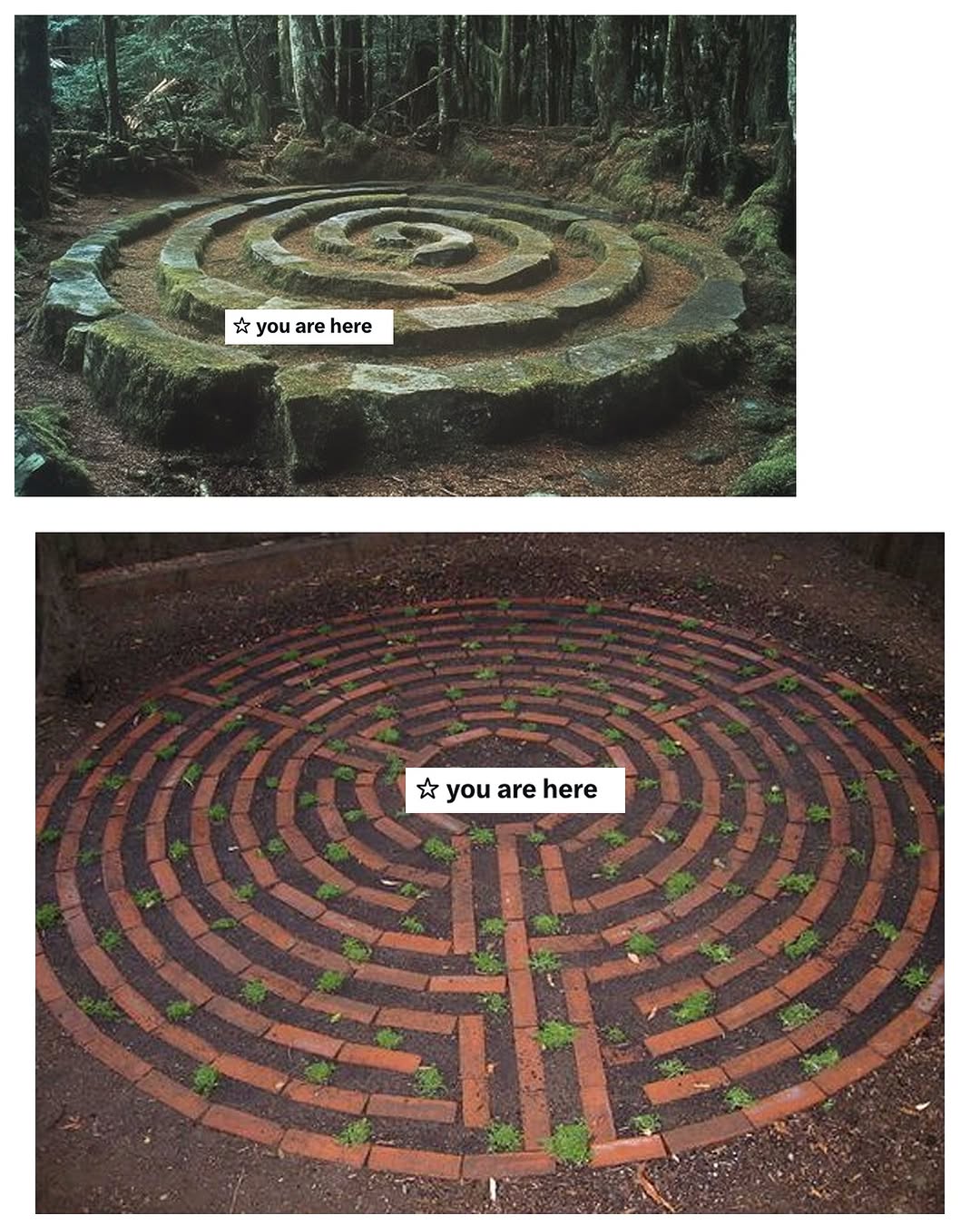 Thumbnail of www-instagram-com-p-dgywicuywsc 8