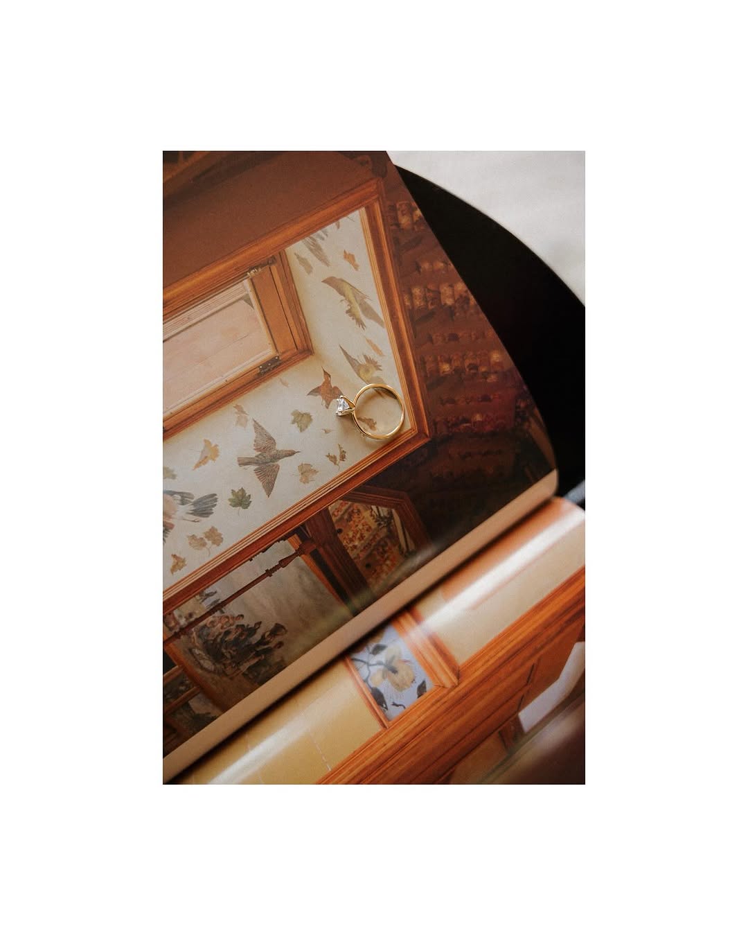 Thumbnail of www-instagram-com-p-dhv0a9mrm79 1
