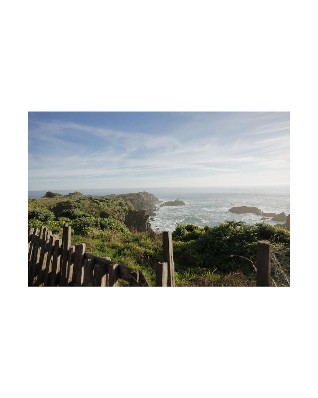Thumbnail of www-instagram-com-p-dhv0a9mrm79 7