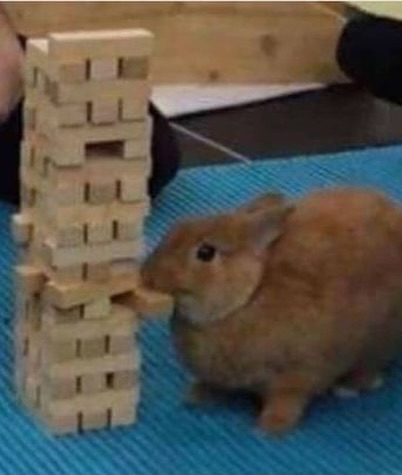 Thumbnail of www-instagram-com-p-dikzzbqmko5 1