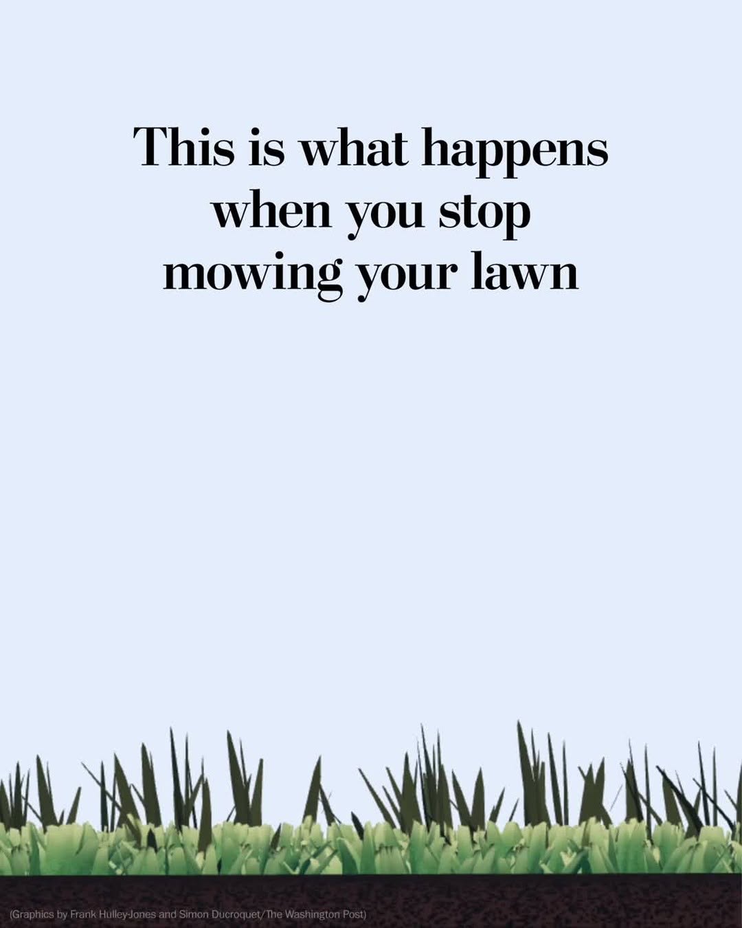 Thumbnail of p-djkeu0xpzkw-5dad0a7644594c75 0