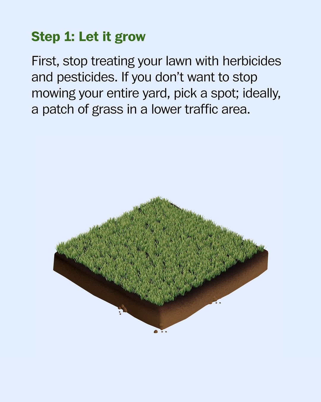 Thumbnail of p-djkeu0xpzkw-5dad0a7644594c75 1