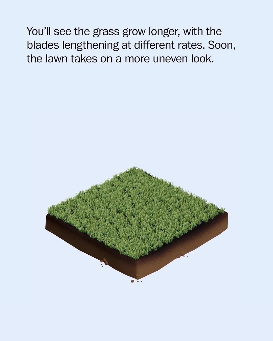 Thumbnail of p-djkeu0xpzkw-5dad0a7644594c75 2