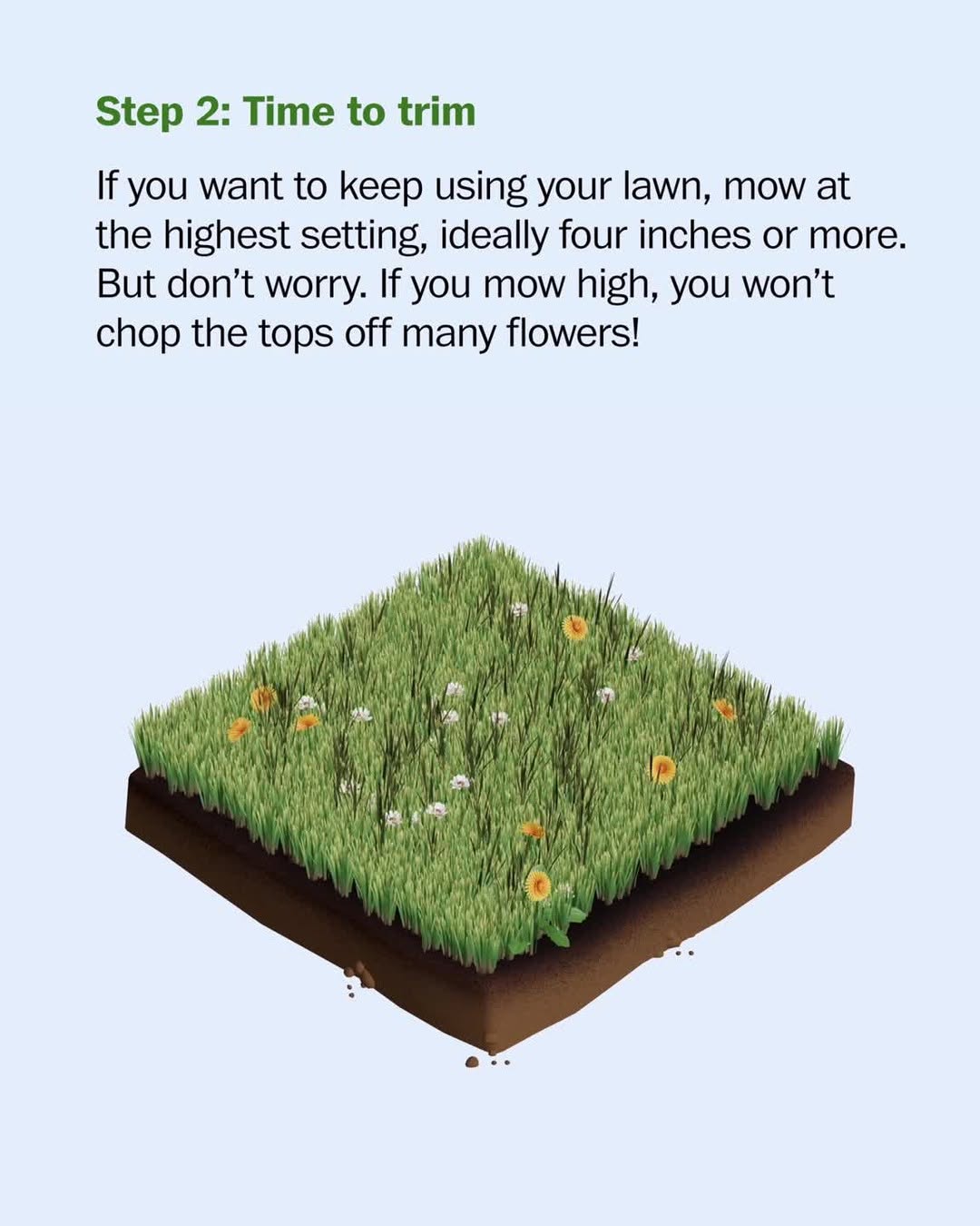 Thumbnail of p-djkeu0xpzkw-5dad0a7644594c75 4