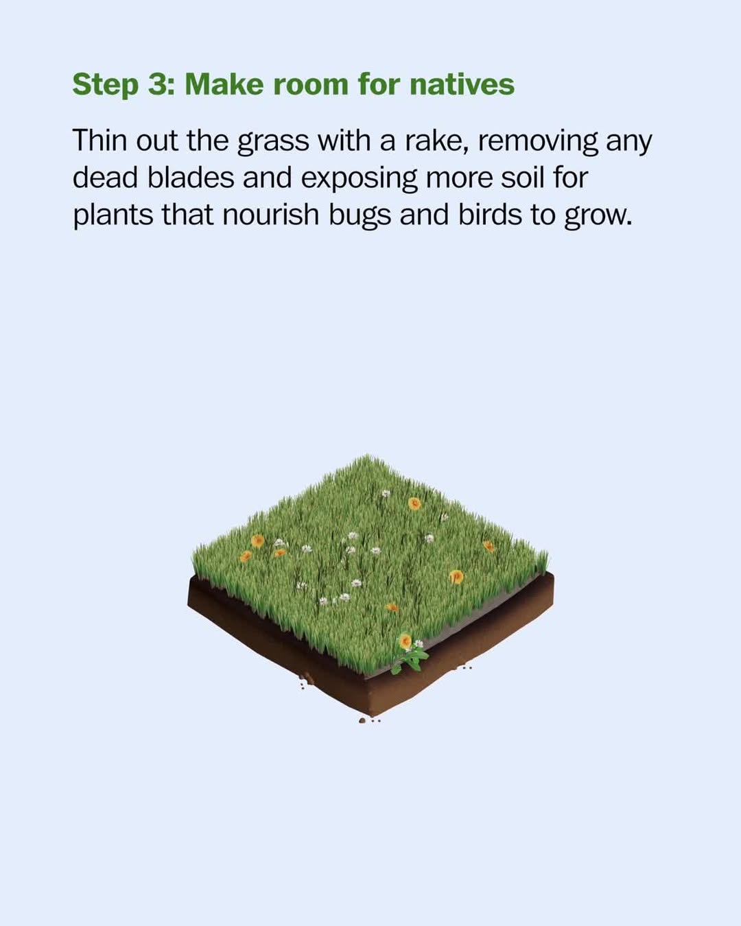 Thumbnail of p-djkeu0xpzkw-5dad0a7644594c75 6