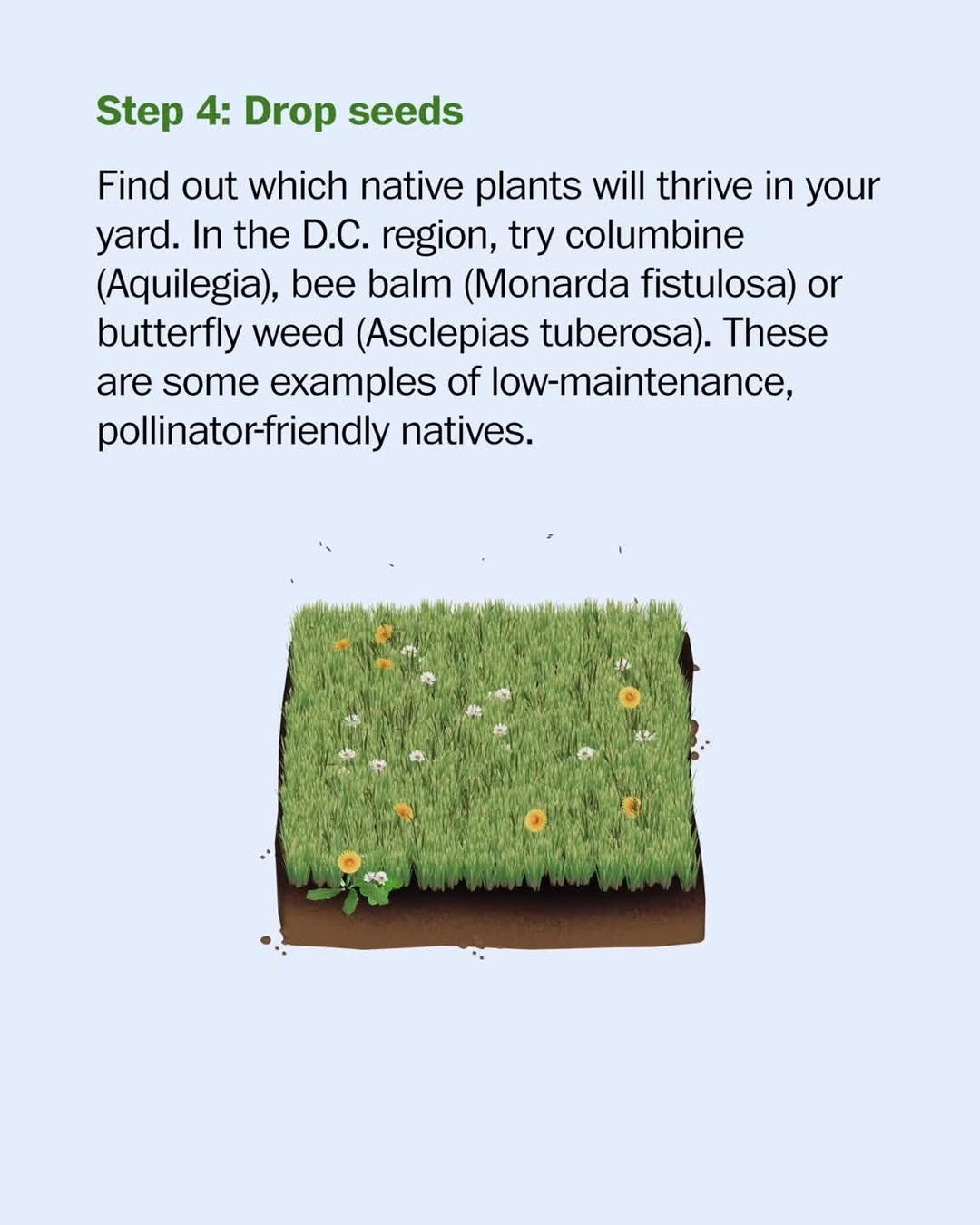 Thumbnail of p-djkeu0xpzkw-5dad0a7644594c75 7