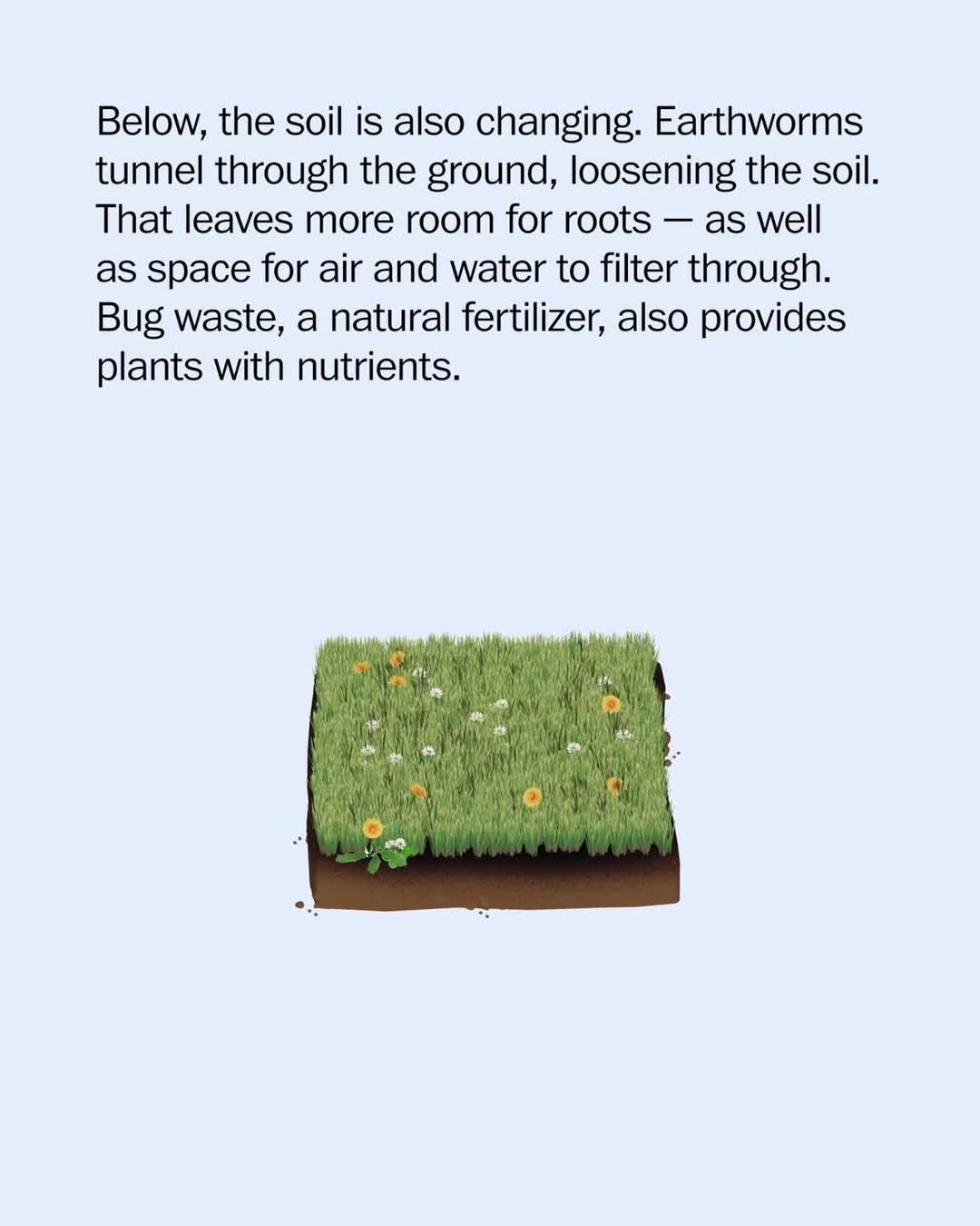 Thumbnail of p-djkeu0xpzkw-5dad0a7644594c75 8